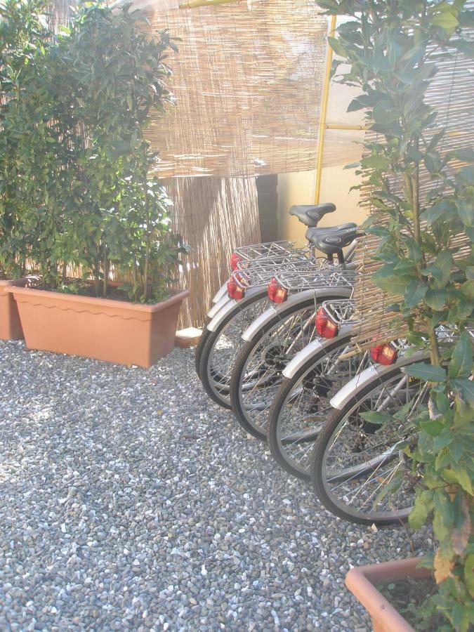B&B La Rondine Tra Pisa E Lucca San Giuliano Terme Eksteriør bilde