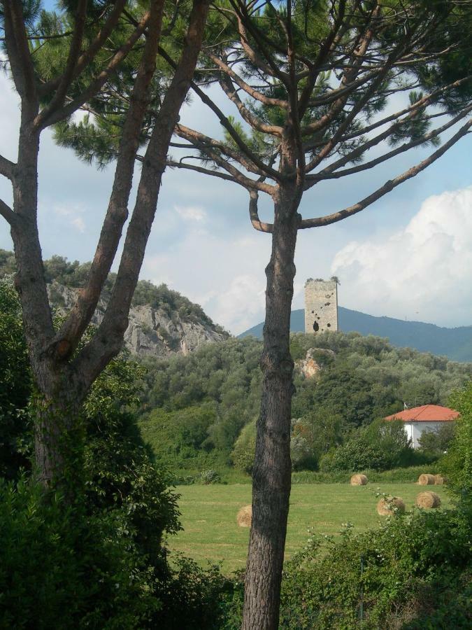 B&B La Rondine Tra Pisa E Lucca San Giuliano Terme Eksteriør bilde
