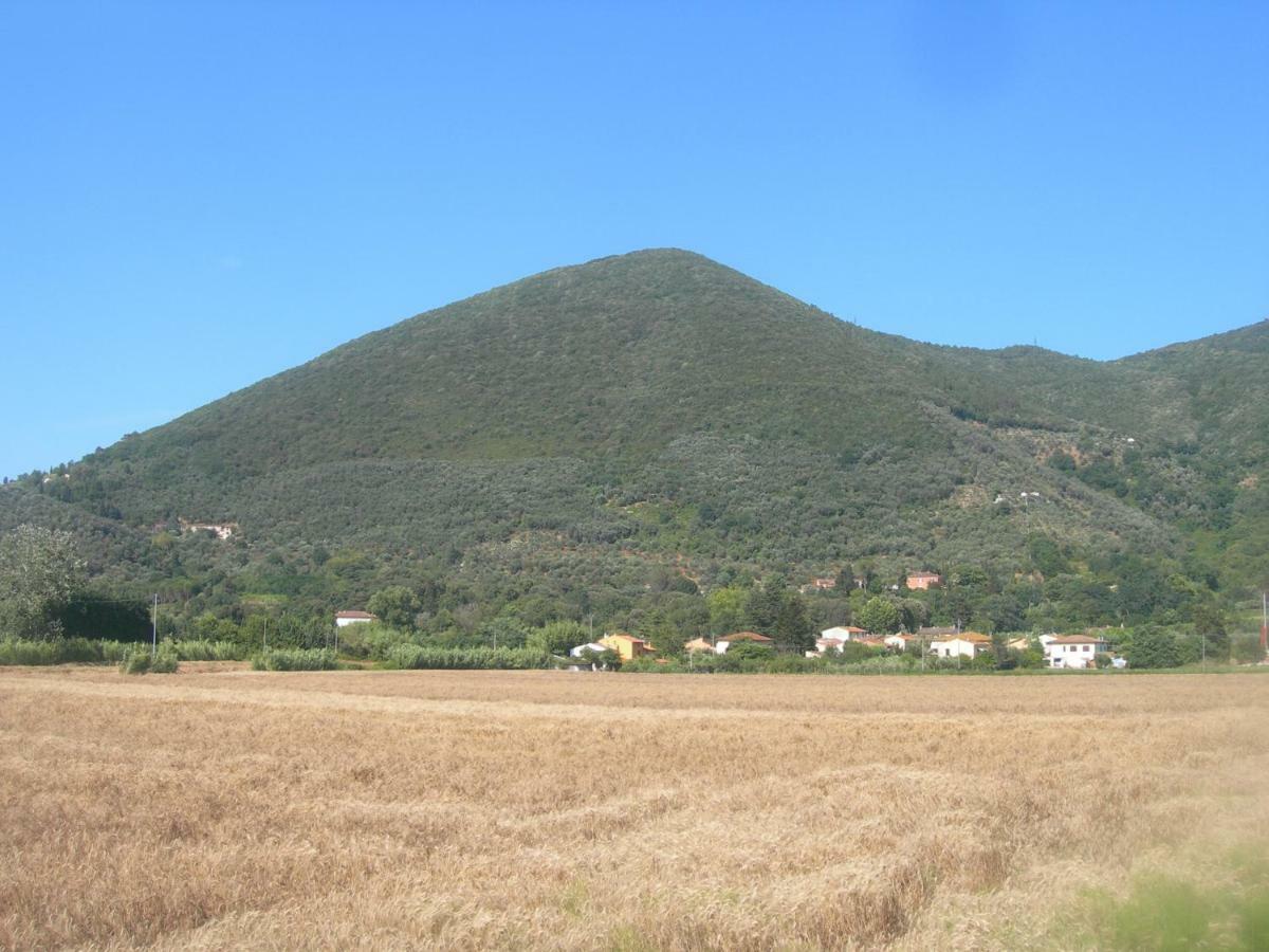 B&B La Rondine Tra Pisa E Lucca San Giuliano Terme Eksteriør bilde